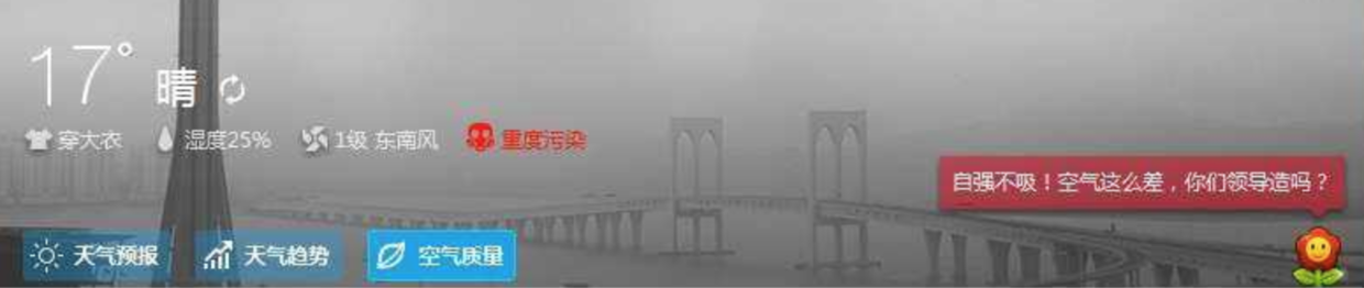 天气助手的一株小花