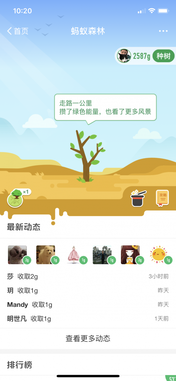 蚂蚁森林的拟人化小树苗